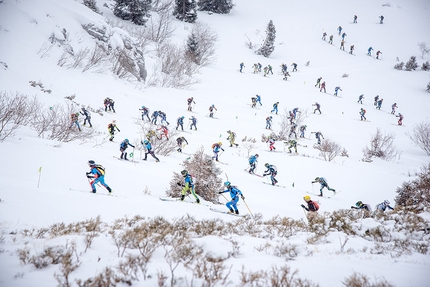 Transcavallo 2018, Alpago, scialpinismo - Durante la terza tappa della 35° gara di scialpinismo Transcavallo