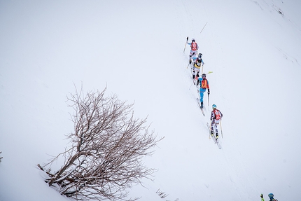 Transcavallo 2018, Alpago, scialpinismo - Durante la terza tappa della 35° gara di scialpinismo Transcavallo