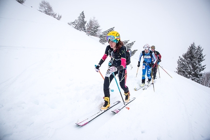 Transcavallo 2018, Alpago, scialpinismo - Durante la terza tappa della 35° gara di scialpinismo Transcavallo