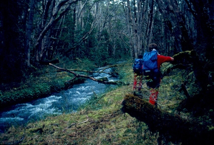 Monte Sarmiento - Ragni di Lecco 1986 - Attraversando la foresta