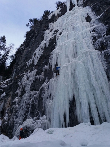 Val Meledrio, Val di Sole, cascate di ghiaccio, Vincenzo Mascaro, Alessio Miori, Andrea Speziali - Il tracciato di Il tarlo per le donne in Val Meledrio (Val di Sole) aperta da Vincenzo Mascaro, Alessio Miori e Andrea Speziali il 17/02/2018