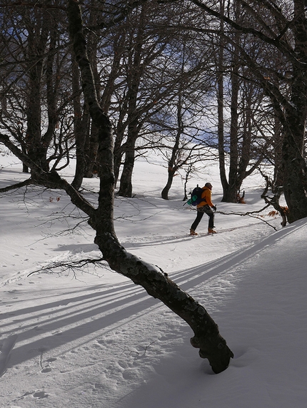 Traversata in sci del Gruppo del Velino, Appennino, Alberto Sciamplicotti - Traversata del Velino: luci radenti del mattino fra il Monte Ginepro e il Morrone