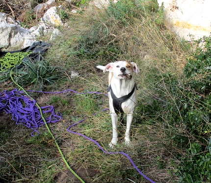 Cava d'Ispica, Ragusa, arrampicata, Massimo Flaccavento, Giorgio Iurato - Cava Ispica: Kira, immancabile mascotte