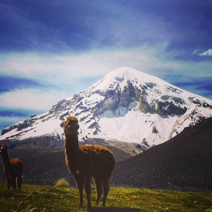 Los Picos 6500, Andes, Franco Nicolini, Tomas Franchini, Silvestro Franchini - Los Picos 6500: Nevado Sajama 6542 m