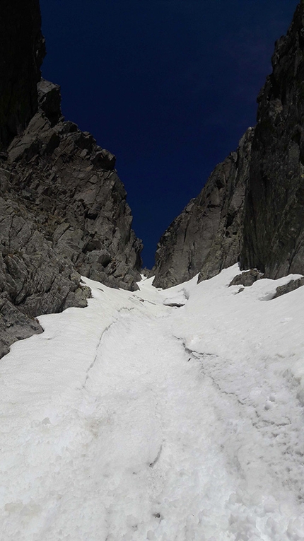 Cima d'Asta, Alta Val Tolvà, sciare - Cima d'Asta, Alta Val Tolvà