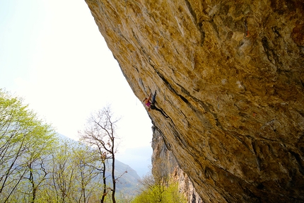 Angelika Rainer - Angelika Rainer climbing the 8c Cinque Uve at Narango (Arco).