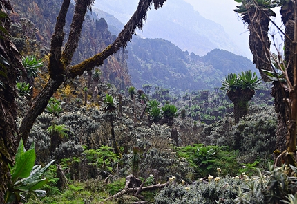 Bukurungu Trail: un nuovo trekking nel Rwenzori in Uganda