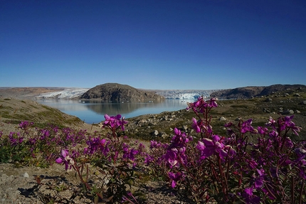 Groenlandia - Qaleraliq, Groenlandia
