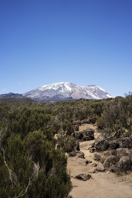 Tom Belz Kilimanjaro - Kilimanjaro, at 5895 meters the highest mountain in Africa