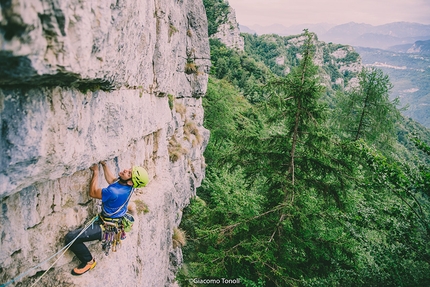 Alpinisti dal Futuro, nuova via d’arrampicata sull' Altar Knotto, Altopiano di Asiago