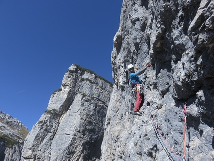 Arrampicata Dolomiti: Via Irene sulla Prima Pala di San Lucano di Santi Padrós e Diego Toigo