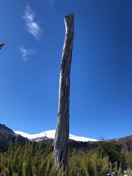 Cile scialpinismo vulcani - Cile scialpinismo: come fa un vulcano a nascondersi