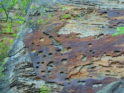 Labak, arrampicata sull'arenaria della Repubblica Ceca - Labak: Riva sinistra Dolni Zleb 