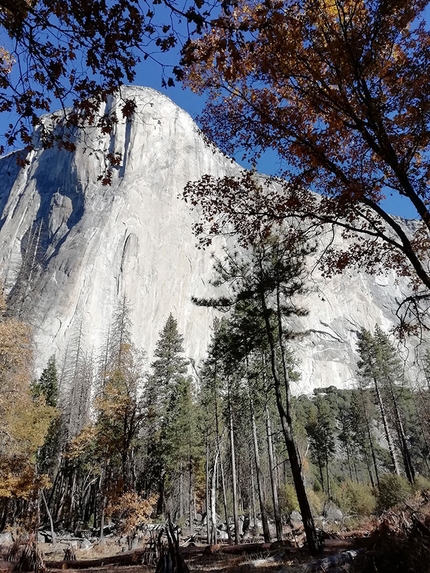 Federica Mingolla, Yosemite, Andrea Migliano - El Capitan in Yosemite