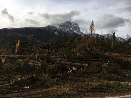 Coffee Break #25 / San Nicolò e la distesa degli alberi caduti