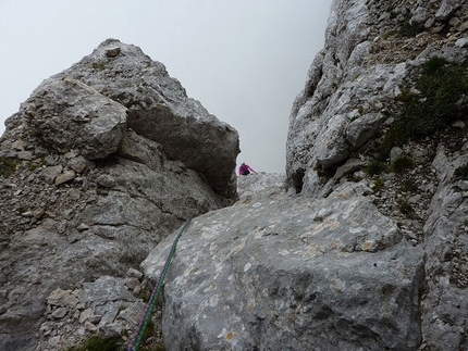 Croda Granda, Pale di San Martino, Dolomiti - Sulla “Via della rampa”, parete Est Croda Granda (Pale di San Martino, Dolomiti)