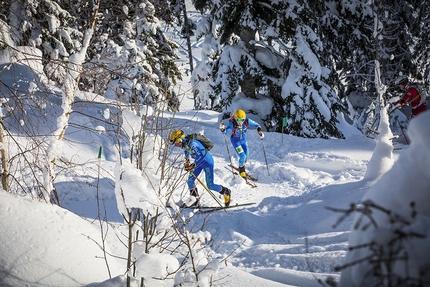 Coppa del Mondo di Scialpinismo 2019 - Coppa del Mondo di Scialpinismo 2019 a Bischofshofen, Austria: Individual