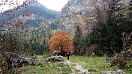 Val di Mello - Val di Mello: the path on the left bank that ERSAF plans to improve and enlarge