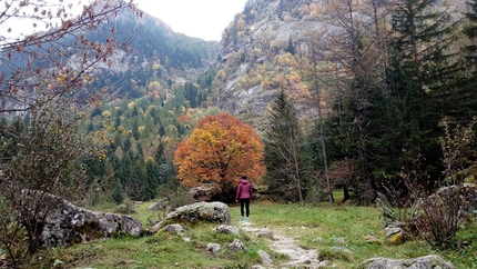 Val di Mello - Val di Mello: il sentiero sul lato sinistro orografico che l'ERSAF ha in progetto di sistemare ed allargare