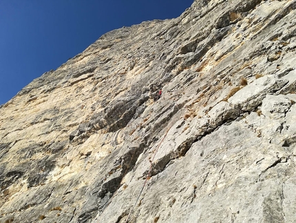 Cima Verde, Val d’Adige, Nicola Cont, Martin Giovanazzi, Elio Mazzalai - Durante l'apertura di Via Teoria del Grigio, Pala Grande di Cima Verde, Val d’Adige (Nicola Cont, Martin Giovanazzi, Elio Mazzalai 20/10/2018)