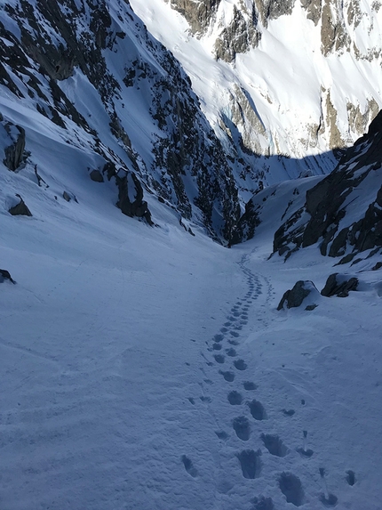 Punta dell’Orco, Adamello, Alessandro Beber, Claudio Lanzafame, Marco Maganzini - View down onto Canale dell’Orco on Punta dell’Orco above Val Genova in the Adamello group (Alessandro Beber, Claudio Lanzafame, Marco Maganzini 22/03/2019)