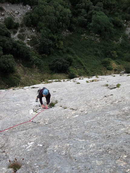 Hystrix, Pizzo Campana, Sicilia - Calcare compatto su Hystrix