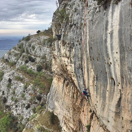 Falesia del Babo, Val d'Adige - Andrea Simonini durante i lavori di richiodatura della Falesia del Babo in Val d'Adige