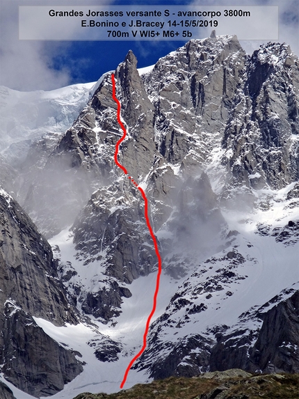 Grandes Jorasses, Monte Bianco, Enrico Bonino, Jon Bracey - Il tracciato della via Bonino - Bracey, Grandes Jorasses versante sud, massiccio del Monte Bianco, aperta da Enrico Bonino e Jon Bracey il 14-15/5/2019