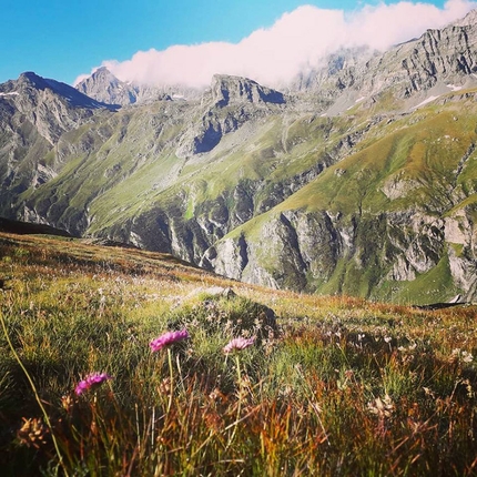 Pian della Mussa, Val d’Ala, Valli di Lanzo - Pian della Mussa: fioritura dal rifugio Ciriè