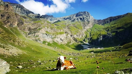 Pian della Mussa, Val d’Ala, Valli di Lanzo - L'alpeggio di Pian Ciamarella, Pian della Mussa