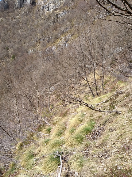 Monte Spil Vallarsa - La prima salita di Via dell’Eredità sulla parete Sojo del Filister del Monte Spil in Vallarsa (Emanuele Menegardi, Stefano Menegardi)