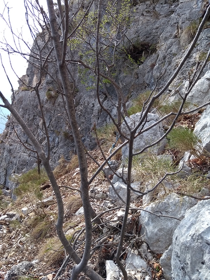 Monte Spil Vallarsa - La prima salita di Via dell’Eredità sulla parete Sojo del Filister del Monte Spil in Vallarsa (Emanuele Menegardi, Stefano Menegardi)