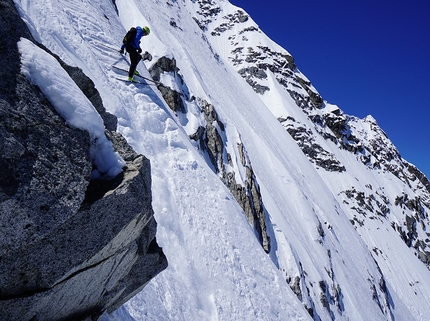 Presanella Cresta Nord Est, Roberto Dallavalle, Luca Dallavalle - Luca Dallavalle skiing the NE Ridge of Presanella on 02/06/2019