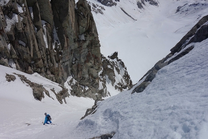 Presanella Cresta Nord Est, Roberto Dallavalle, Luca Dallavalle - Roberto Dallavalle skiing the NE Ridge of Presanella on 02/06/2019