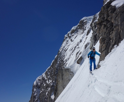 Presanella Cresta Nord Est, Roberto Dallavalle, Luca Dallavalle - Roberto Dallavalle skiing the NE Ridge of Presanella on 02/06/2019