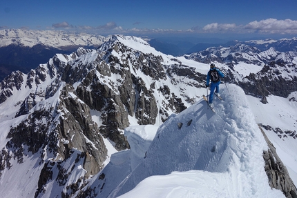 Presanella Cresta Nord Est, Roberto Dallavalle, Luca Dallavalle - Roberto Dallavalle skiing the NE Ridge of Presanella on 02/06/2019 with his brother Luca Dallavalle