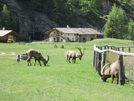 Gran Paradiso, Valle d'Aosta - Boulder sotto il Gran Paradiso in Valle d’Aosta