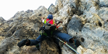 Pale di San Lucano, Dolomiti - Durante l'apertura di Via della Salamandra sulla Prima Pala di San Lucano in Dolomiti (Jacopo Biserni, Arturo Dapporto)