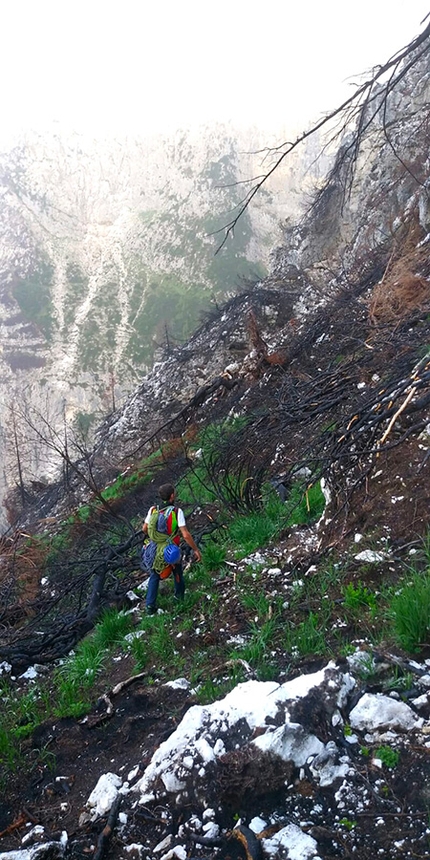 Pale di San Lucano, Dolomiti - Durante l'apertura di Via della Salamandra sulla Prima Pala di San Lucano in Dolomiti (Jacopo Biserni, Arturo Dapporto)