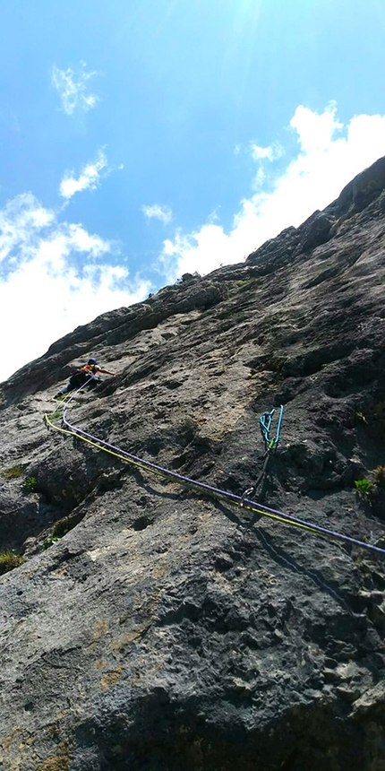 Pale di San Lucano, Dolomiti - Durante l'apertura di Via della Salamandra sulla Prima Pala di San Lucano in Dolomiti (Jacopo Biserni, Arturo Dapporto)