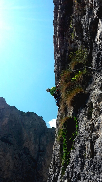 Pale di San Lucano, Dolomiti - Durante l'apertura di Via della Salamandra sulla Prima Pala di San Lucano in Dolomiti (Jacopo Biserni, Arturo Dapporto)