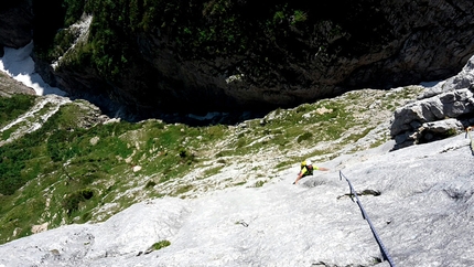 Pale di San Lucano, Dolomiti - Durante l'apertura di Via della Salamandra sulla Prima Pala di San Lucano in Dolomiti (Jacopo Biserni, Arturo Dapporto)