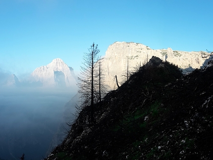 Pale di San Lucano, Dolomiti - Durante l'apertura di Via della Salamandra sulla Prima Pala di San Lucano in Dolomiti (Jacopo Biserni, Arturo Dapporto)