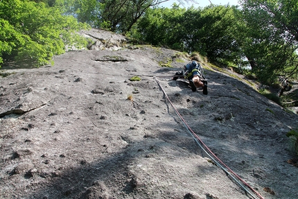 Valle di Daone - Val Daone: durante l'apertura di Nessuno vuole essere Robin (Gianluca Forti, Nicholas Ferrari, Sandro De Toni)