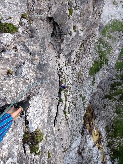 Pale di San Martino Dolomiti - Via quota 100, Pala di San Bartolomeo, Pale di San Martino, Dolomiti (Stefano Menegardi, Emanuele Menegardi)