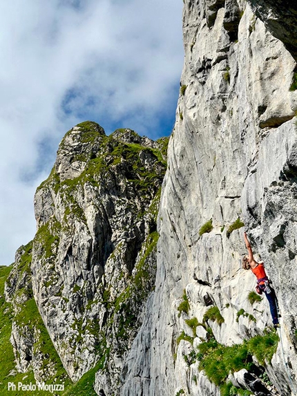 Arrampicarnia - In arrampicata nella falesia di Avostanis, Carnia, Friuli Venezia Giulia