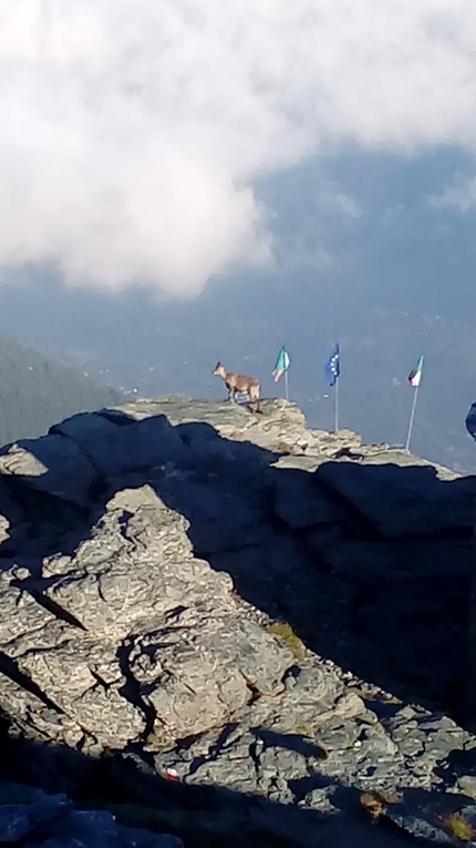 Dal Grand Capucin al Rocciamelone - Al Rifugio Ca' d'Asti, Rocciamelone