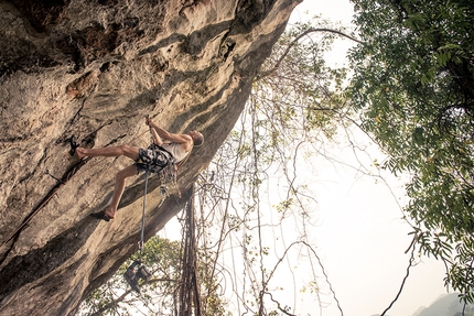 Laos, Volker Schöffl, Isabelle Schöffl - Volker Schöffl establishing new rock climbs in Laos with his wife Isabelle Schöffl