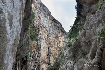 Aleksandra Taistra, Hotel Supramonte, Sardinia - Aleksandra Taistra climbing Hotel Supramonte, Gole di Gorropu, Sardinia