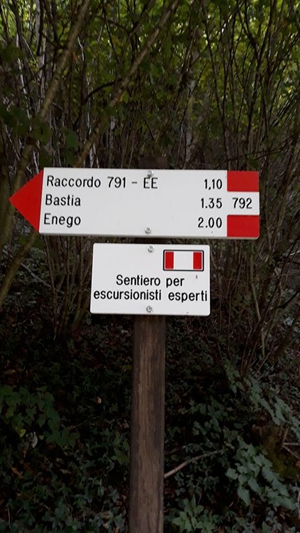 Valsugana arrampicata - Durante l'apertura di Uomini fuori posto, parete di Enego, Valsugana (Ermes Bergamaschi, Mario Carollo )